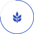 農(nóng)業(yè)（農(nóng)作物）